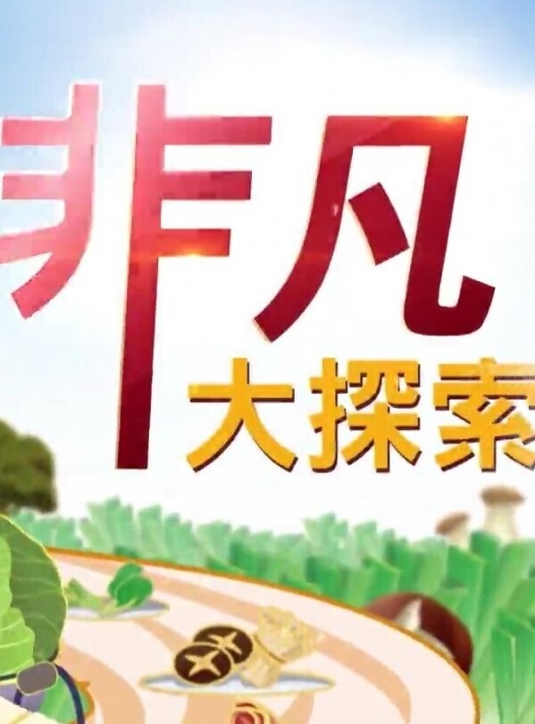 锤子探花再约极品眼镜御姐美腿高跟鞋很主动埋头舔骚逼抱起来猛操小穴 - 口棒肉穴乳
